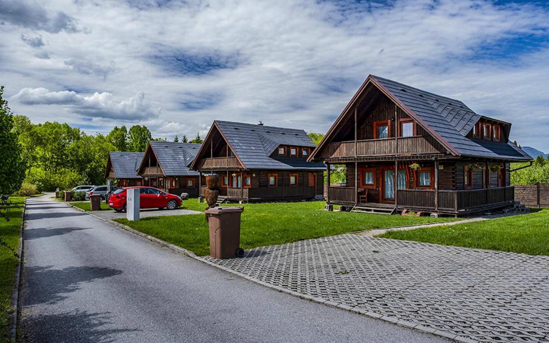 Sojka